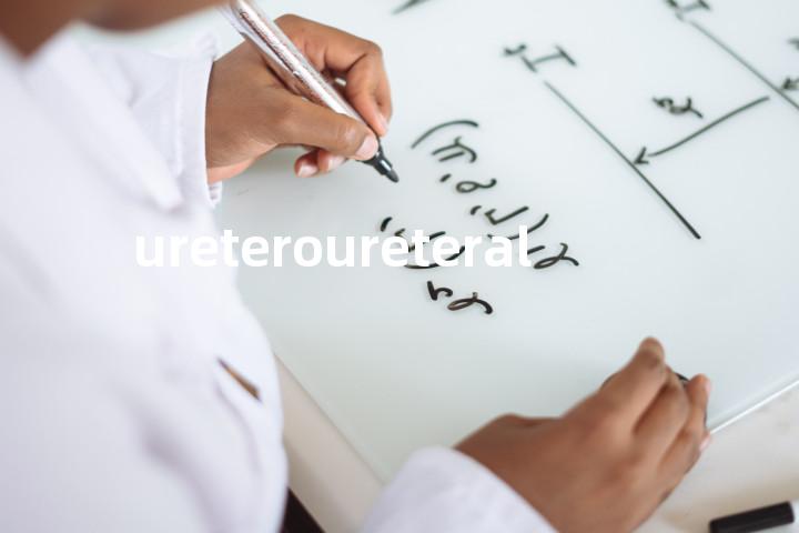 ureteroureteral单词图解，单词释义场景配图