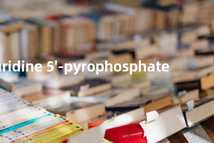 uridine 5'-pyrophosphate单词图解，单词释义场景配图