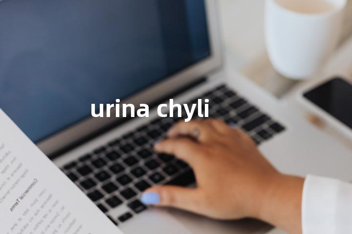 urina chyli单词图解，单词释义场景配图