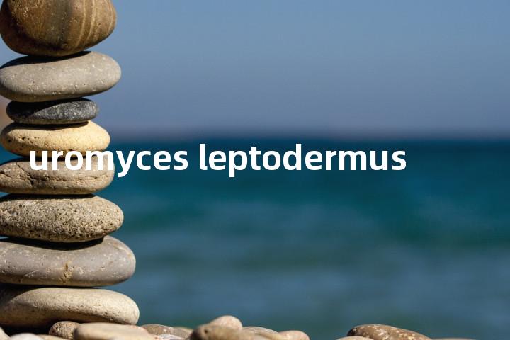 uromyces leptodermus单词图解，单词释义场景配图