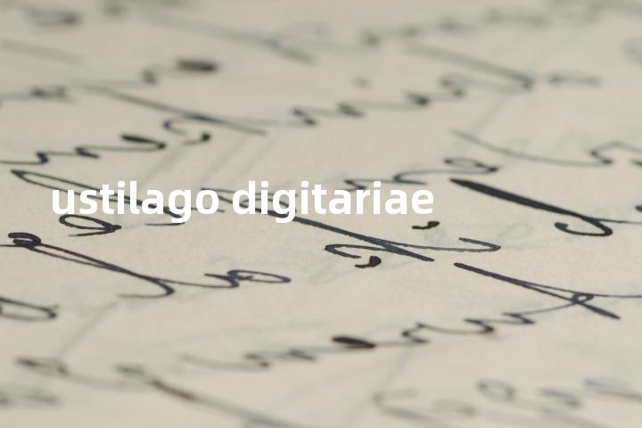 ustilago digitariae单词图解，单词释义场景配图