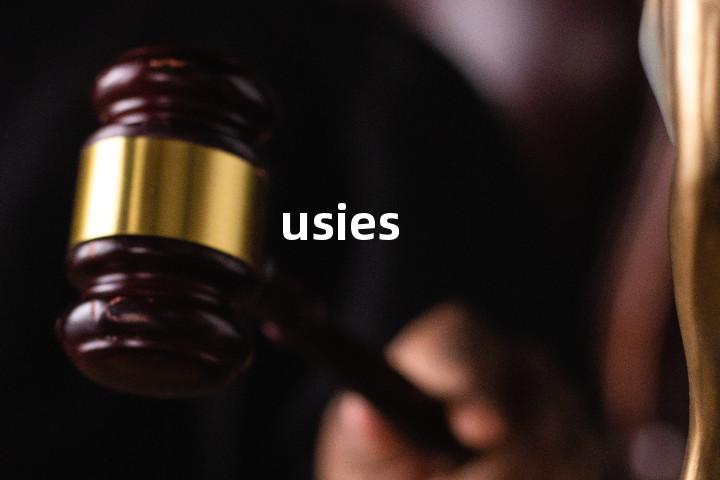 usies单词图解，单词释义场景配图