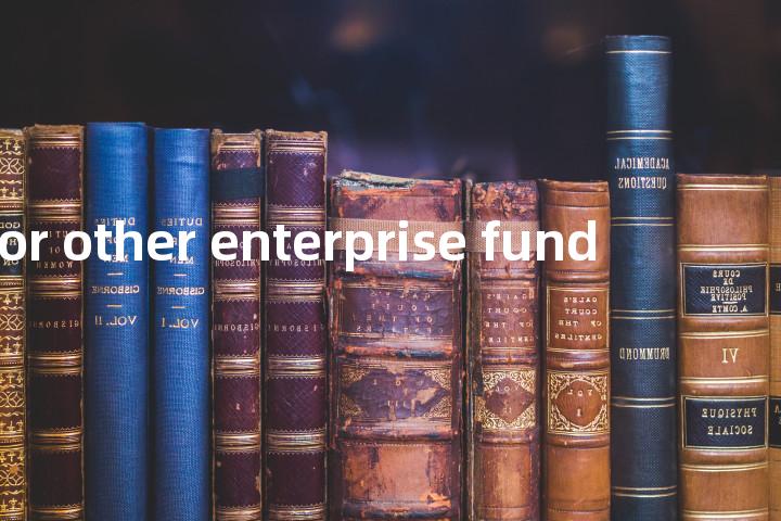 utility or other enterprise fund单词图解，单词释义场景配图