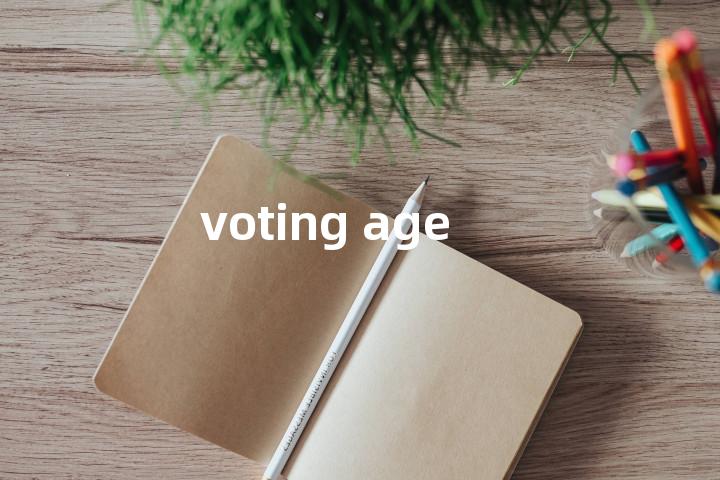 voting age单词图解，单词释义场景配图