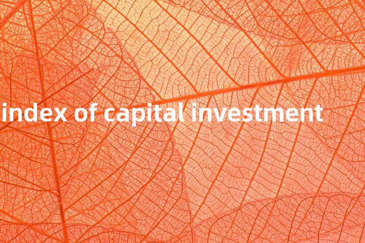 volume index of capital investment单词图解，单词释义场景配图