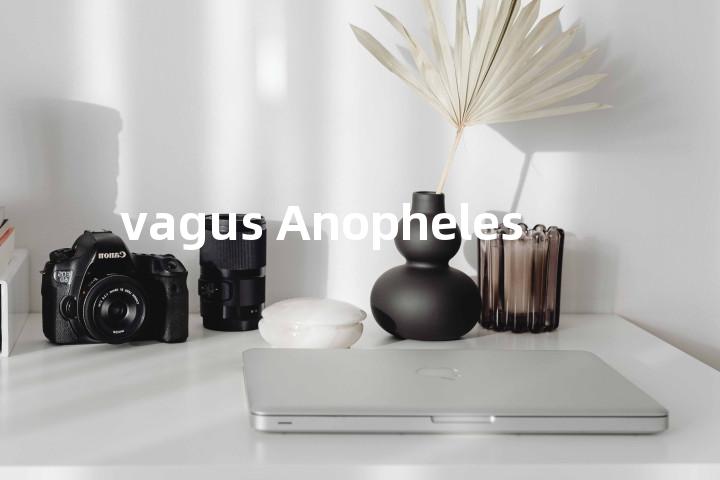 vagus Anopheles单词图解，单词释义场景配图