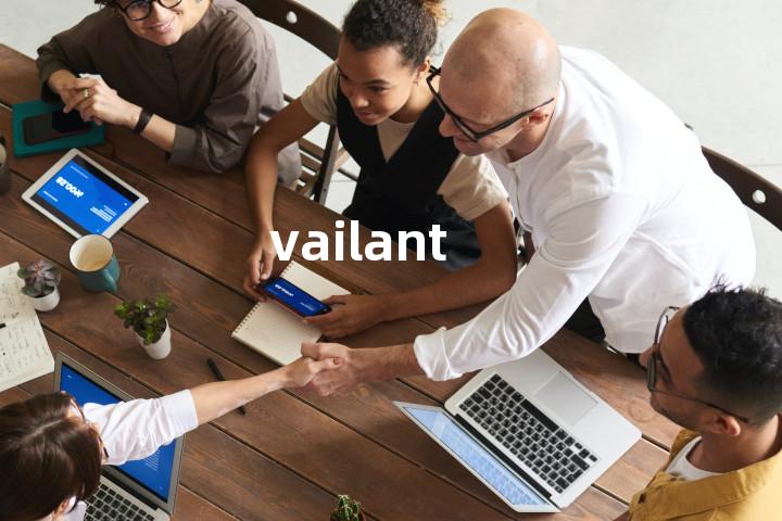 vailant单词图解，单词释义场景配图