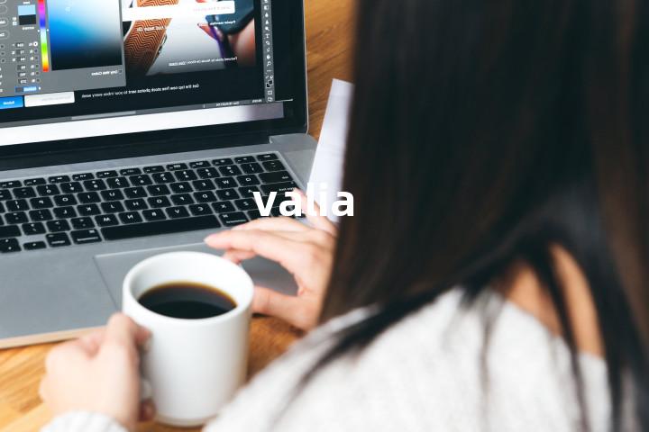 valia单词图解，单词释义场景配图