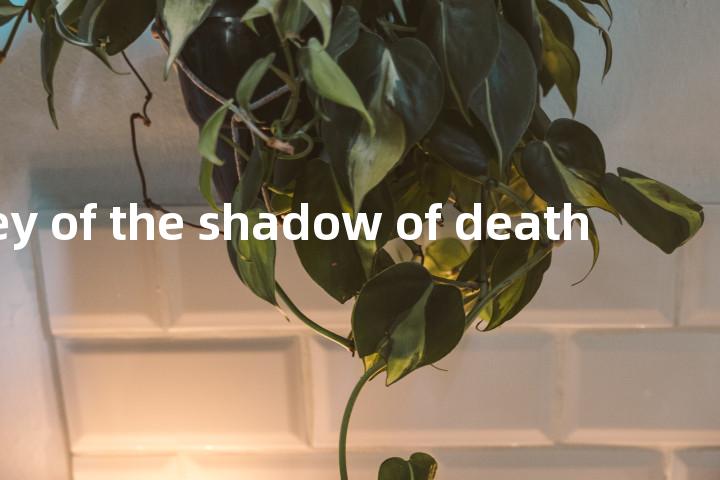 valley of the shadow of death单词图解，单词释义场景配图