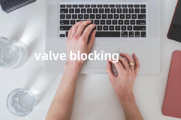 valve blocking单词图解，单词释义场景配图