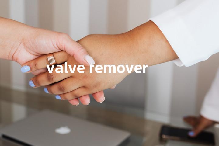valve remover单词图解，单词释义场景配图