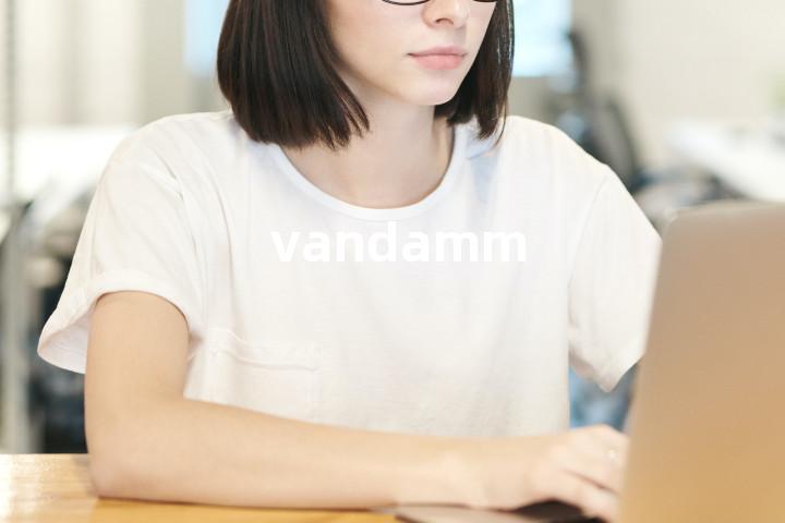 vandamm单词图解，单词释义场景配图