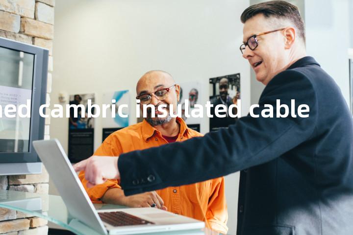 varnished cambric insulated cable单词图解，单词释义场景配图