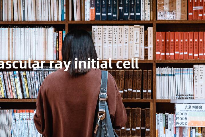 vascular ray initial cell单词图解，单词释义场景配图