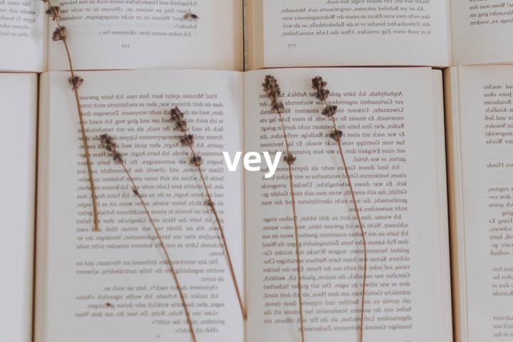 vey单词图解，单词释义场景配图
