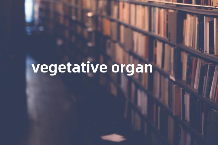 vegetative organ单词图解，单词释义场景配图