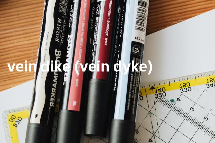 vein dike (vein dyke)单词图解，单词释义场景配图