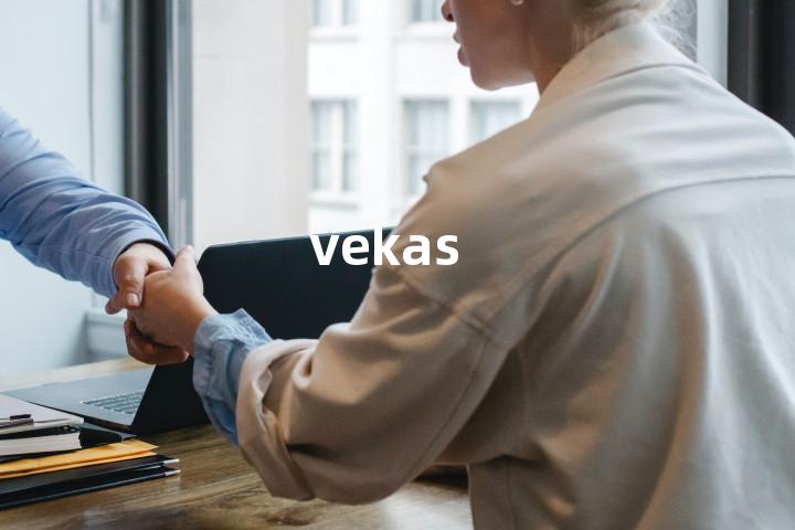 vekas单词图解，单词释义场景配图