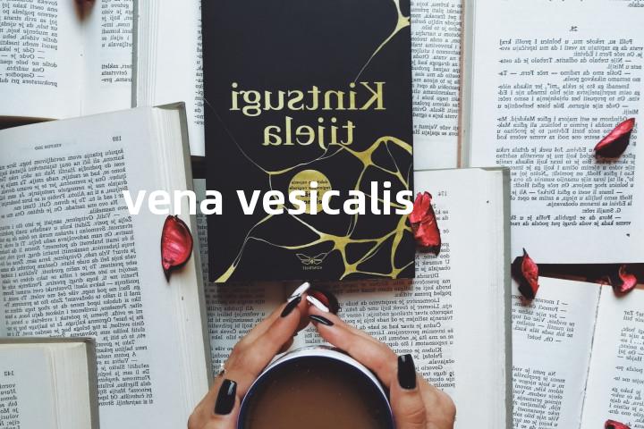 vena vesicalis单词图解，单词释义场景配图
