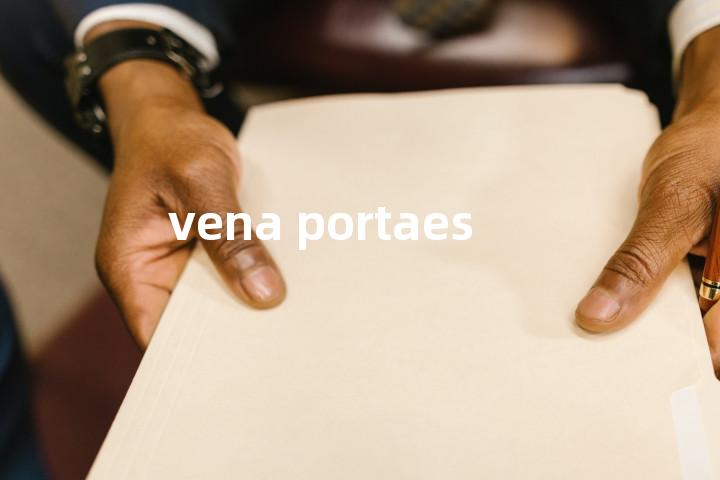 vena portaes单词图解，单词释义场景配图