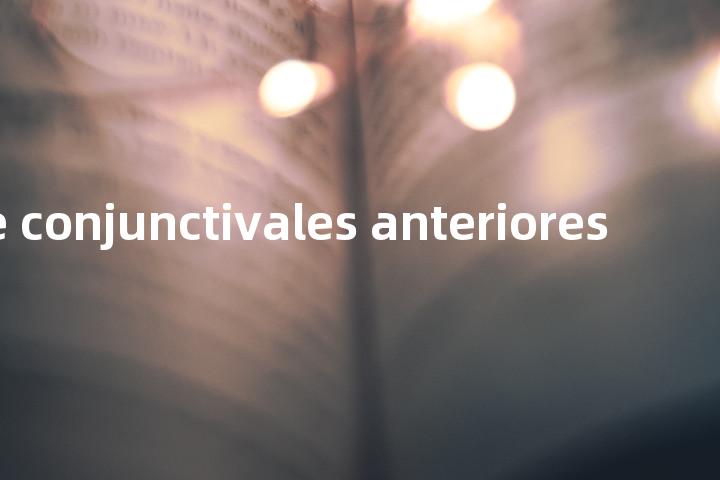 venae conjunctivales anteriores单词图解，单词释义场景配图