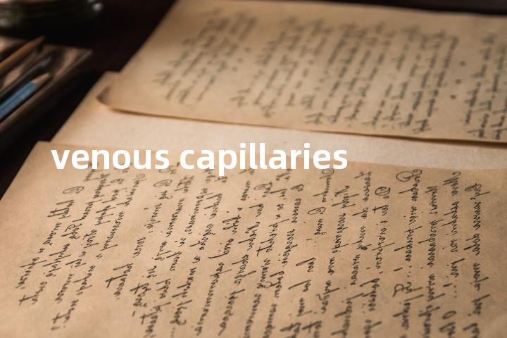 venous capillaries单词图解，单词释义场景配图