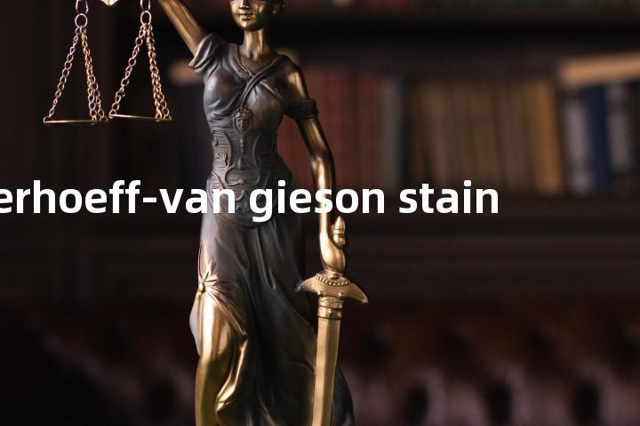 verhoeff-van gieson stain单词图解，单词释义场景配图