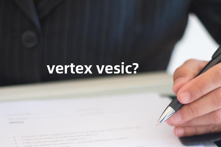 vertex vesic?单词图解，单词释义场景配图