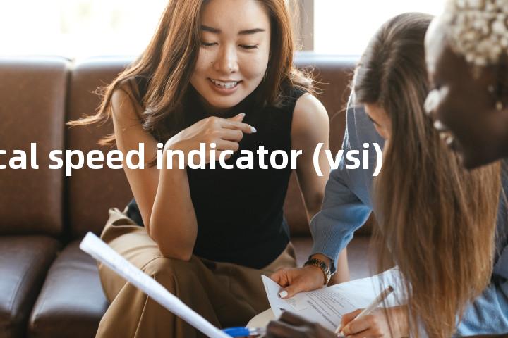 vertical speed indicator (vsi)单词图解，单词释义场景配图