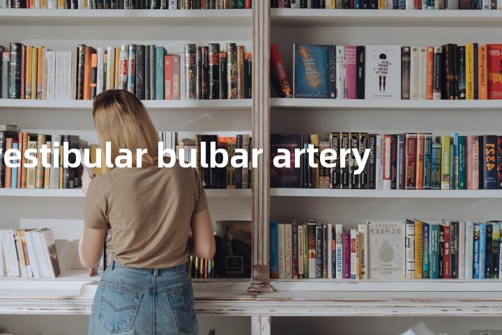 vestibular bulbar artery单词图解，单词释义场景配图