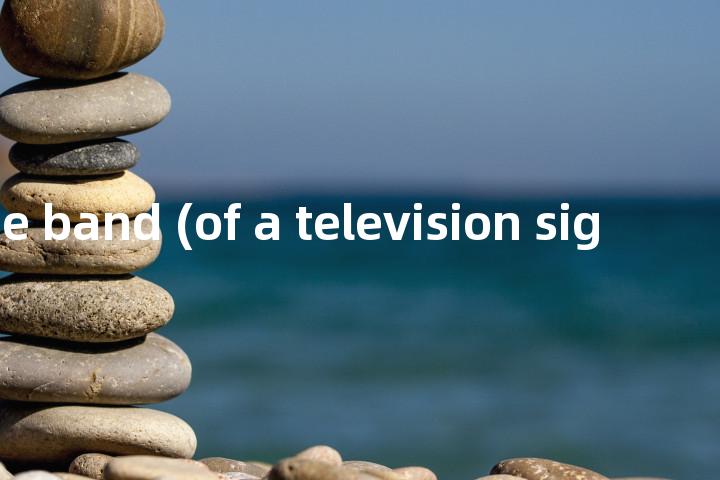 vestigial side band (of a television signal)单词图解，单词释义场景配图