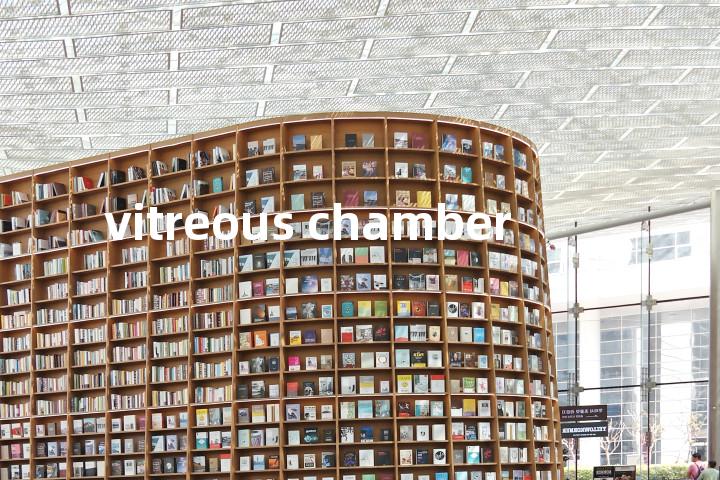 vitreous chamber单词图解，单词释义场景配图