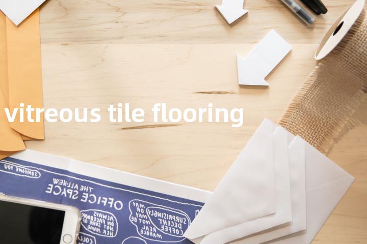 vitreous tile flooring单词图解，单词释义场景配图