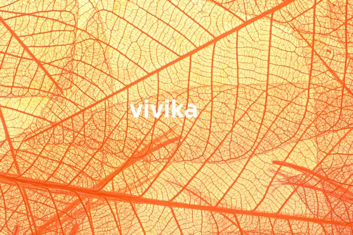 vivika单词图解，单词释义场景配图