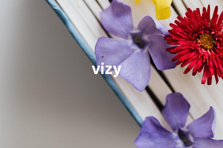 vizy单词图解，单词释义场景配图