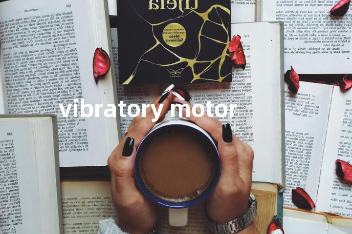 vibratory motor单词图解，单词释义场景配图