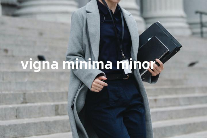vigna minima minor单词图解，单词释义场景配图