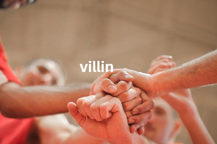 villin单词图解，单词释义场景配图