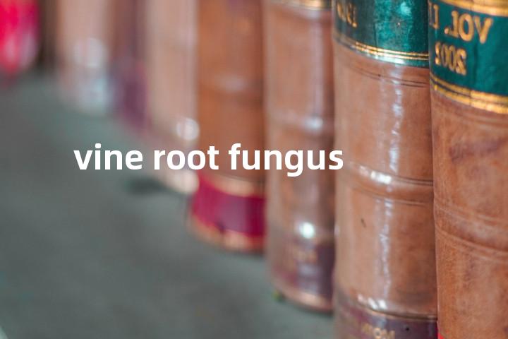 vine root fungus单词图解，单词释义场景配图