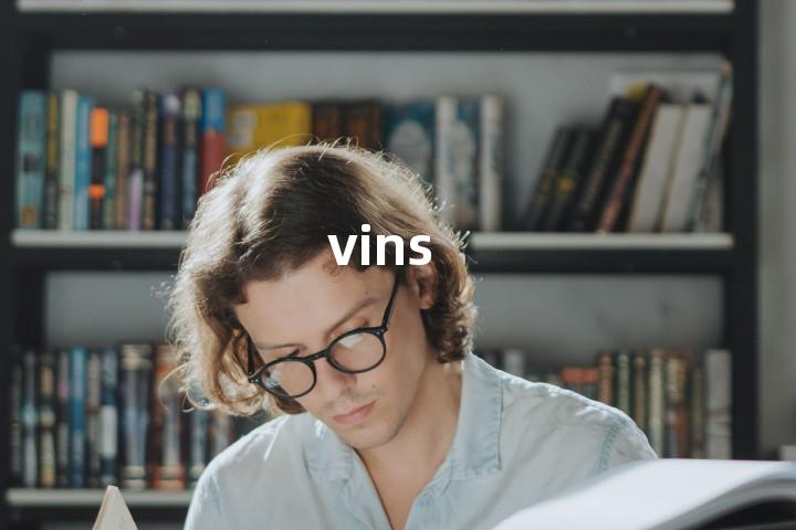 vins单词图解，单词释义场景配图