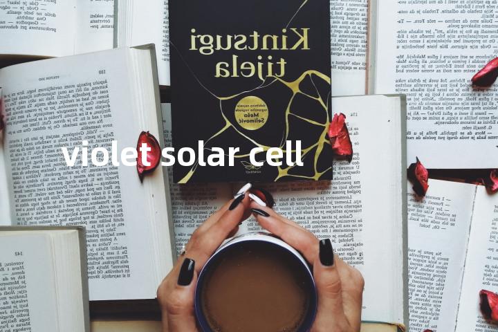 violet solar cell单词图解，单词释义场景配图