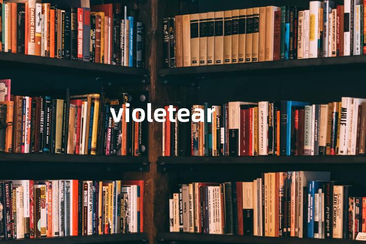 violetear单词图解，单词释义场景配图
