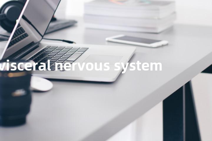 visceral nervous system单词图解，单词释义场景配图
