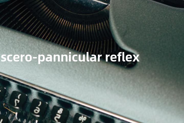 viscero-pannicular reflex单词图解，单词释义场景配图