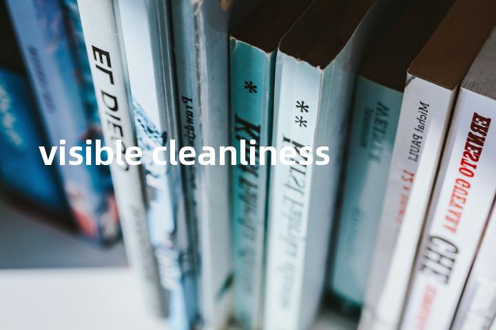 visible cleanliness单词图解，单词释义场景配图