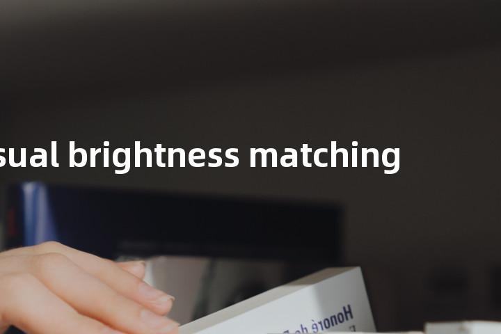 visual brightness matching单词图解，单词释义场景配图