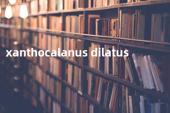 xanthocalanus dilatus单词图解，单词释义场景配图