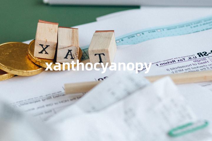 xanthocyanopy单词图解，单词释义场景配图