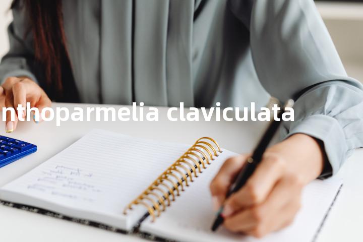 xanthoparmelia claviculata单词图解，单词释义场景配图