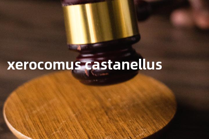 xerocomus castanellus单词图解，单词释义场景配图